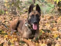 SPA genève image
