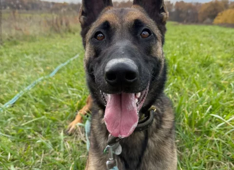 SPA genève image